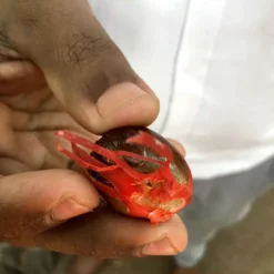 Macis Muskatblüte Gemahlen, BIO, 100g -Kaffeeprodukte 27612d91fd4dde3a639d0f64964ecebd