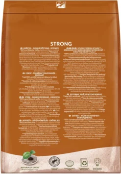 SENSEO Pads Strong Senseopads 4 X 48 Getränke Kaffeepads XXL Packs + 1 Senseo Dose 14 SENSEO Pads Strong Senseopads 4 X 48 Getränke Kaffeepads XXL Packs + 1 Senseo Dose -Kaffeeprodukte 7b17292079e38f1b3059b6e641b0fe33