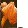 Tchibo Cafissimo Flavoured Edition Espresso Caramel, 10 Kapseln -Kaffeeprodukte e50255c7ed1291dec31246a278eb897f